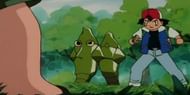 Ash was insistent that his Metapod could beat this other Metapod (Image via The Pokemon Company)